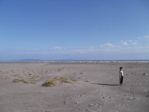 野蒜海岸の砂浜（2011年11月）