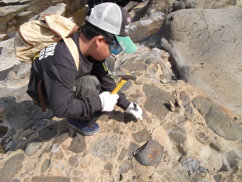 化石の発掘作業をする息子