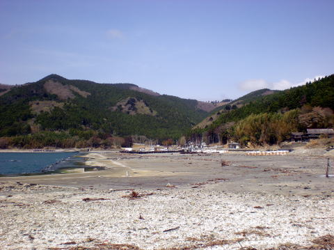 桃浦の漁港