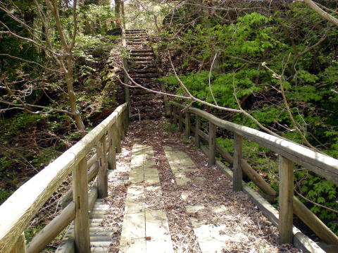 林へ続く橋を渡る