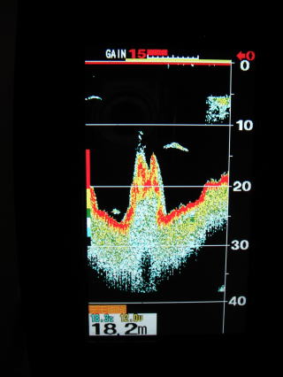 ホンデックス製魚群探知機「HE-51C」のスケールラインON画面