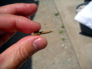 清掃後のドレーンスクリュー