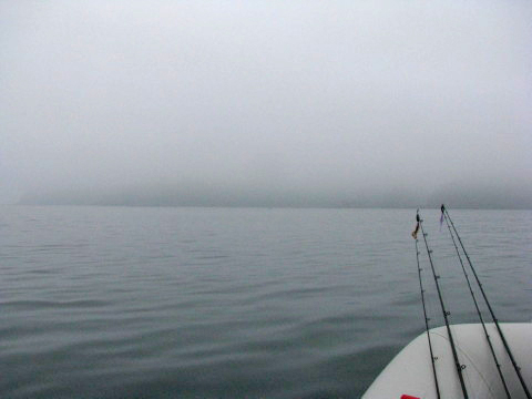 出船直後は霧が掛かった海